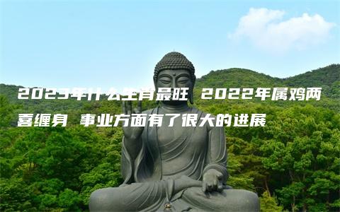 2023年什么生肖最旺 2022年属鸡两喜缠身 事业方面有了很大的进展