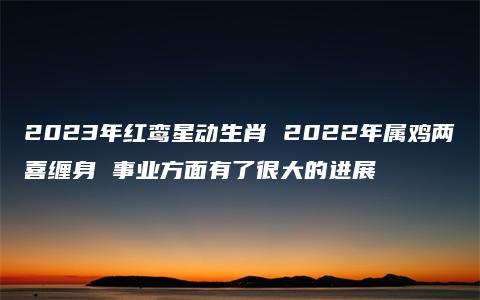 2023年红鸾星动生肖 2022年属鸡两喜缠身 事业方面有了很大的进展