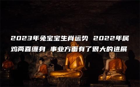 2023年兔宝宝生肖运势 2022年属鸡两喜缠身 事业方面有了很大的进展