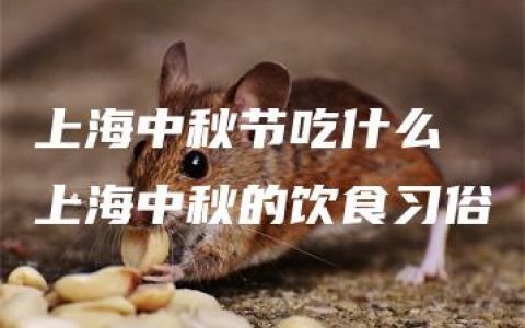 上海中秋节吃什么 上海中秋的饮食习俗