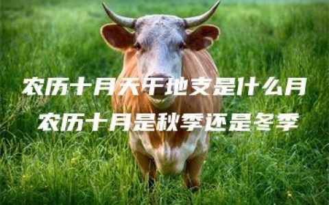 农历十月天干地支是什么月 农历十月是秋季还是冬季