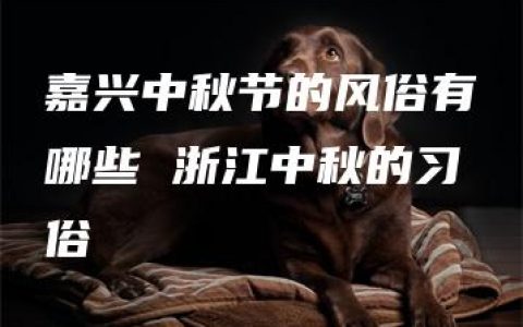 嘉兴中秋节的风俗有哪些 浙江中秋的习俗