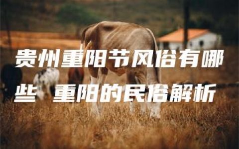 贵州重阳节风俗有哪些 重阳的民俗解析