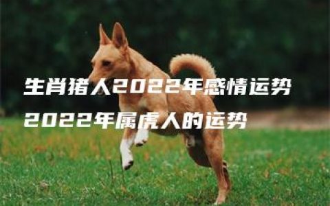 生肖猪人2022年感情运势 2022年属虎人的运势