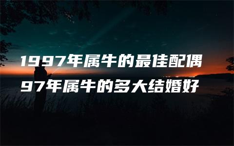 1997年属牛的最佳配偶 97年属牛的多大结婚好