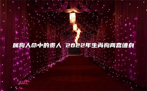 属狗人命中的贵人 2022年生肖狗两喜缠身