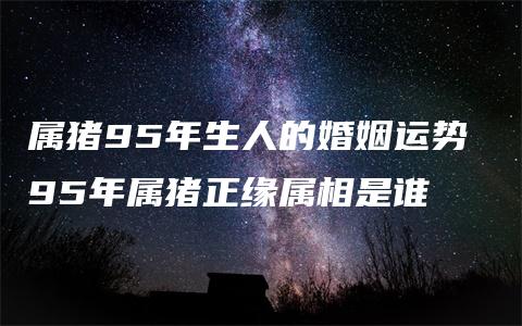 属猪95年生人的婚姻运势 95年属猪正缘属相是谁