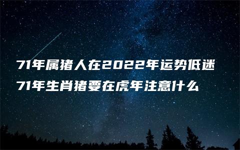 71年属猪人在2022年运势低迷 71年生肖猪要在虎年注意什么