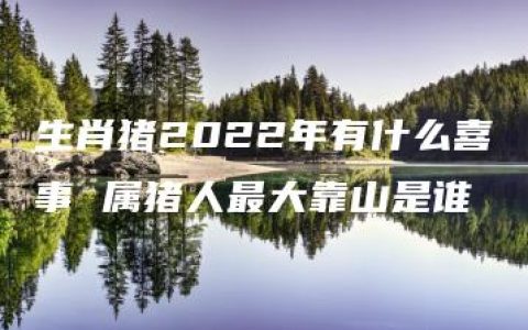 生肖猪2022年有什么喜事 属猪人最大靠山是谁