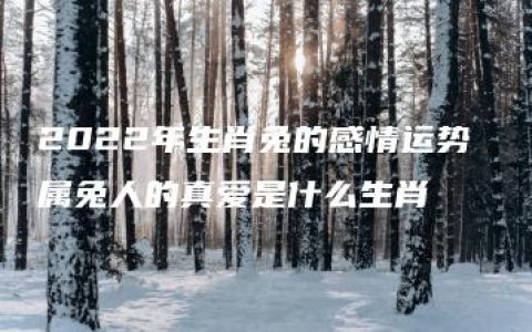 2022年生肖兔的感情运势 属兔人的真爱是什么生肖