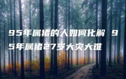 95年属猪的人如何化解 95年属猪27岁大灾大难