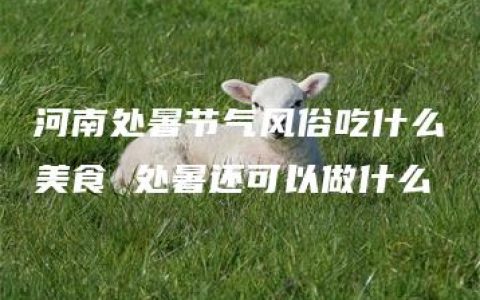 河南处暑节气风俗吃什么美食 处暑还可以做什么