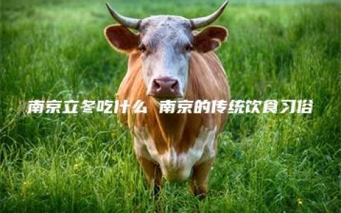 南京立冬吃什么 南京的传统饮食习俗