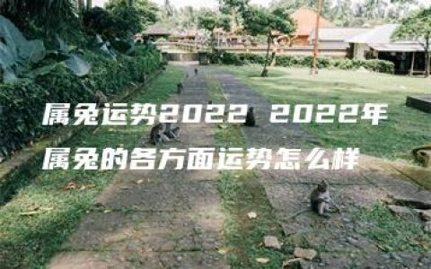 属兔运势2022 2022年属兔的各方面运势怎么样