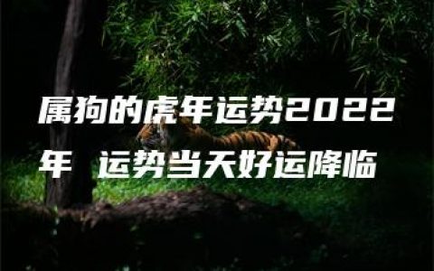 属狗的虎年运势2022年 运势当天好运降临