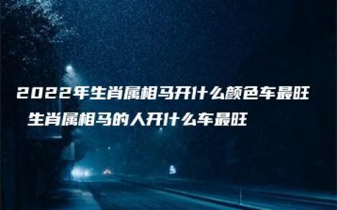 2022年生肖属相马开什么颜色车最旺  生肖属相马的人开什么车最旺