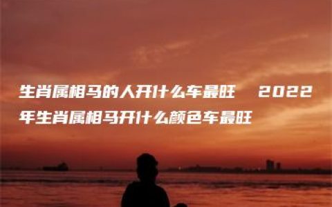 生肖属相马的人开什么车最旺  2022年生肖属相马开什么颜色车最旺