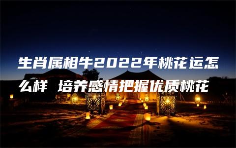 生肖属相牛2022年桃花运怎么样 培养感情把握优质桃花