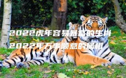 2022虎年容易暴富的生肖 2022年万事顺意的属相