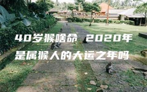 40岁猴啥命 2020年是属猴人的大运之年吗