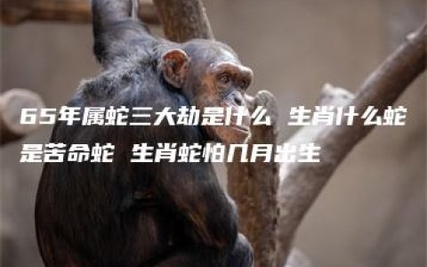 65年属蛇三大劫是什么 生肖什么蛇是苦命蛇 生肖蛇怕几月出生