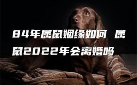 84年属鼠姻缘如何 属鼠2022年会离婚吗