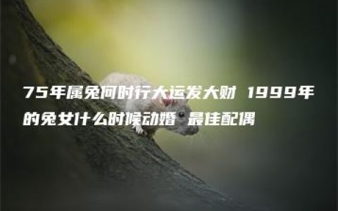 75年属兔何时行大运发大财 1999年的兔女什么时候动婚 最佳配偶