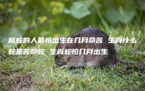 属蛇的人最怕出生在几月命苦 生肖什么蛇是苦命蛇 生肖蛇怕几月出生