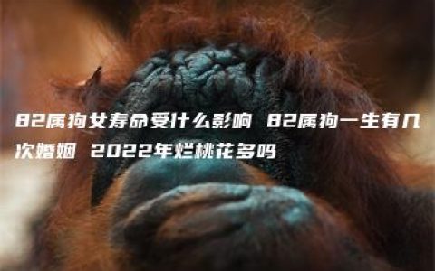 82属狗女寿命受什么影响 82属狗一生有几次婚姻 2022年烂桃花多吗