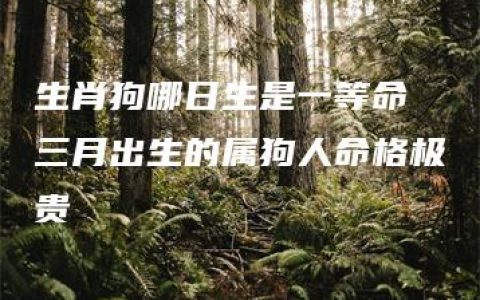 生肖狗哪日生是一等命 三月出生的属狗人命格极贵