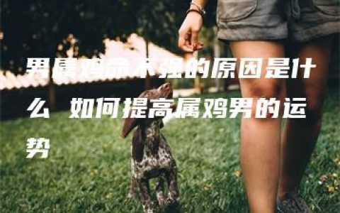 男属鸡命不强的原因是什么 如何提高属鸡男的运势