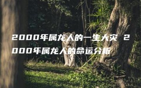 2000年属龙人的一生大灾 2000年属龙人的命运分析