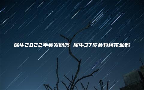 属牛2022年会发财吗 属牛37岁会有桃花劫吗