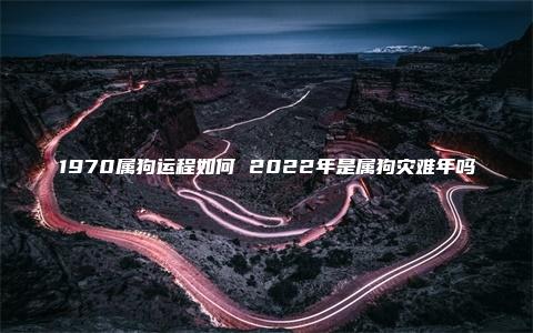 1970属狗运程如何 2022年是属狗灾难年吗