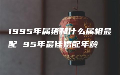 1995年属猪和什么属相最配 95年最佳婚配年龄