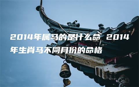 2014年属马的是什么命 2014年生肖马不同月份的命格