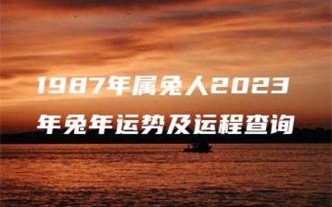 1987年属兔人2023年兔年运势及运程查询