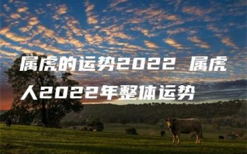 属虎的运势2022 属虎人2022年整体运势