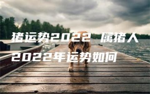 猪运势2022 属猪人2022年运势如何