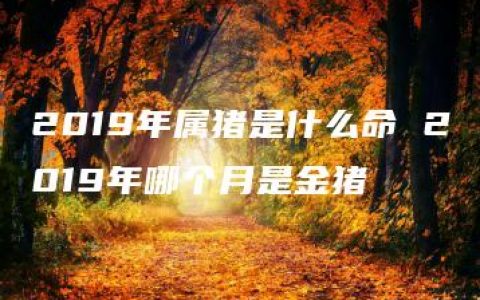 2019年属猪是什么命 2019年哪个月是金猪