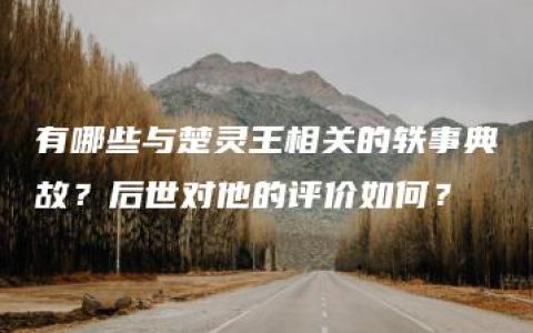 有哪些与楚灵王相关的轶事典故？后世对他的评价如何？