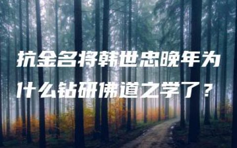 抗金名将韩世忠晚年为什么钻研佛道之学了？