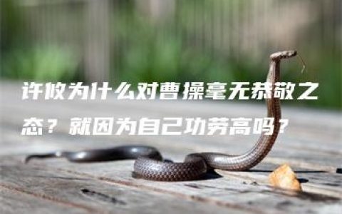 许攸为什么对曹操毫无恭敬之态？就因为自己功劳高吗？