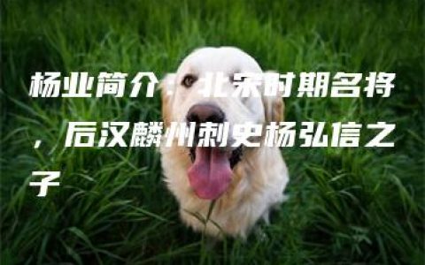 杨业简介：北宋时期名将，后汉麟州刺史杨弘信之子