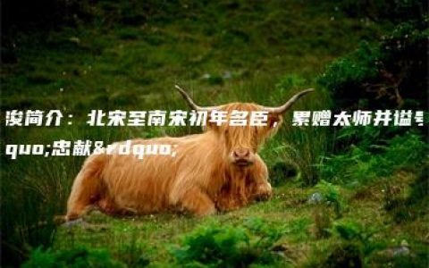 张浚简介：北宋至南宋初年名臣，累赠太师并谥号“忠献”