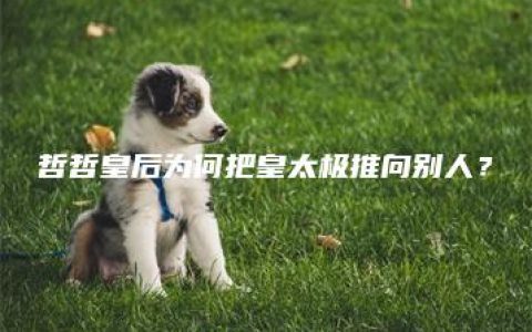 哲哲皇后为何把皇太极推向别人？