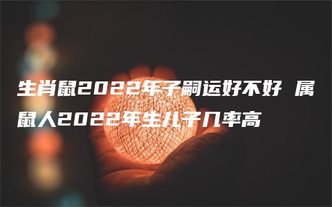 生肖鼠2022年子嗣运好不好 属鼠人2022年生儿子几率高