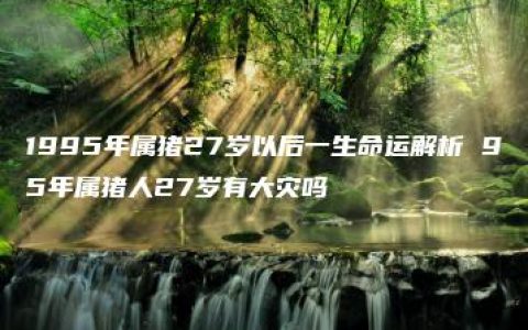 1995年属猪27岁以后一生命运解析 95年属猪人27岁有大灾吗