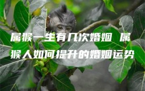 属猴一生有几次婚姻 属猴人如何提升的婚姻运势