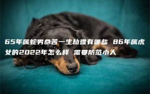 65年属蛇男命苦一生劫难有哪些 86年属虎女的2022年怎么样 需要防范小人